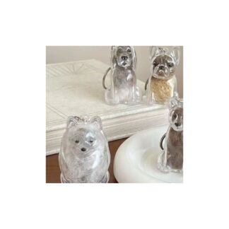 Cute Dog Hair Storage Keychain Transparent Pet Fur Keepsake Capsule Bag Pendant Decor Souvenir Collection  Memorial Jewelry